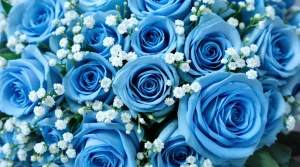 A luxurious bouquet of blue roses arranged with delicate white accents, perfect for a sophisticated blue rose wallpaper, UHD