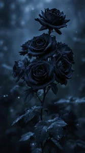 A mystical cluster of black roses in a dark misty setting, perfect for a magical black rose wallpaper, 4K detail