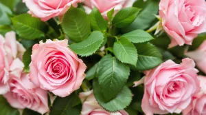 A beautifully arranged bouquet of pink roses with lush green leaves, designed for a stunning pink rose wallpaper, UHD