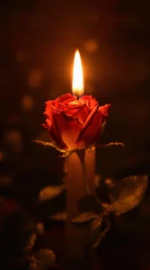 A single red rose glowing softly under flickering candlelight, ideal for a romantic red rose wallpaper, 4K clarity