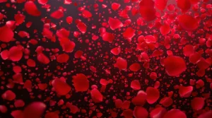 A flurry of falling rose petals in vibrant red hues, captured in dynamic detail, ideal for a unique rose wallpaper, UHD